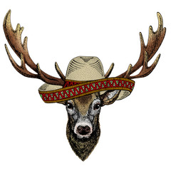 Deer portrait. Sombrero mexican hat. Head of wild animal.
