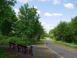 Weg im Südpark Dresden