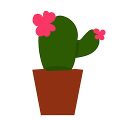 vector, isolated, flat style cactus with flower in a pot on a white background