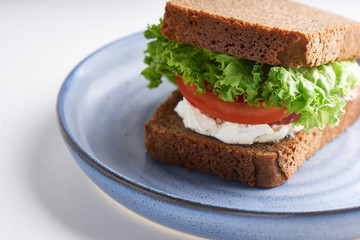 healthy sandwich with gluten-free bread, tomato, lettuce served in plate on white table