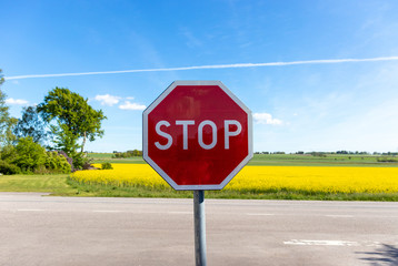 Stop sign in front of a rapeseed field on a sunny day with blue sky