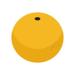 Isometric style icon. Whole juicy grapefruit. Citrus for web design on a white background.