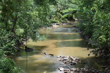 Park landscape with a flowing creek