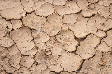 Nature background of cracked dry lands. Natural texture of soil with cracks. Broken clay surface of...