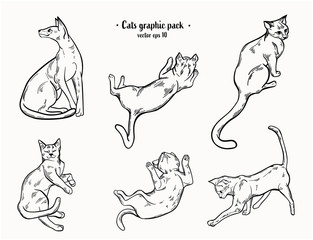 Cats vector hand drawn illustration like ink drawing for tattoo, greeting cards, decor, invitations 
