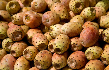 Fruits of Opuntia ficus-indica , Cactus fruits.