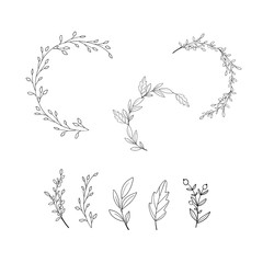 Set of floral elements. Wreath lines set. 