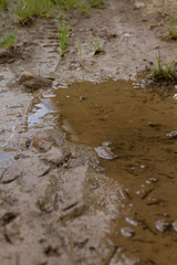 
transport cement bridge and pillars in the city in the Czech Republic