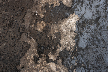 Planet Surface