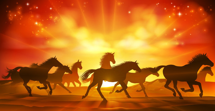 A running or stampeding herd of wild horses in silhouette with a sunset or sunrise in the background
