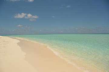 Fototapeta na wymiar Tropical beach with white sand. Maldives. For wallpaper design. Summer beach sky.