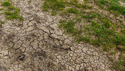 Trockenheit: Folge des Klimawandels