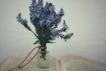 Veronica wild blue flowers in a glass bottle on the background of an open book.