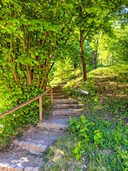Walking path and stairs through lush greenery of a forest