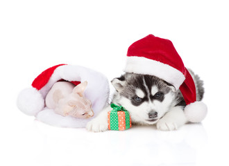 Fototapeta na wymiar A black and white husky puppy in a santa hat is hugging a gift, next to it is a sphynx kitten lying in a santa hat. Isolated on a white background