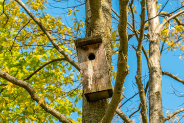 Wooden birdhouse hanging on a tree background