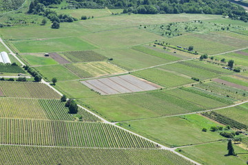 Blick hinab ins Moseltal bei Rachtig