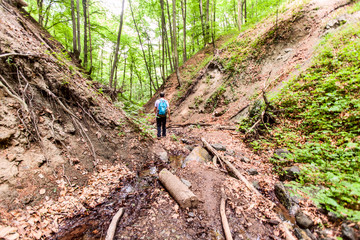 Man With Backpack Walking In Spring Forest, Adventure, Nature, Explore