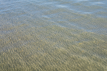 Texture of the sea or ocean with white lamb waves rolling to the shore.