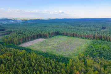 A huge area of continuous deforestation of green coniferous forests. Human impact on the...