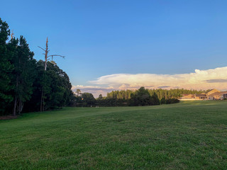 sunset over the field