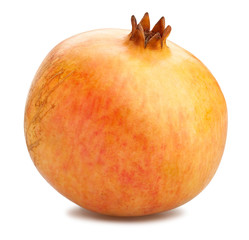 yellow seedless pomegranate
