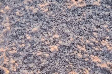 The surface of a pink salt lake covered with salt at sunset. Lovely soft pink texture. Close Up.