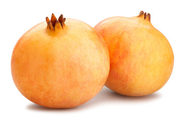 yellow seedless pomegranate