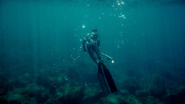 Diver in the sea