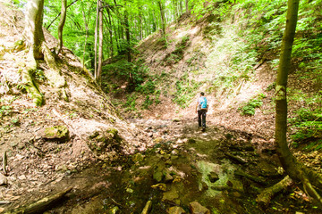 Man With Backpack Walking In Spring Forest, Adventure, Nature, Explore