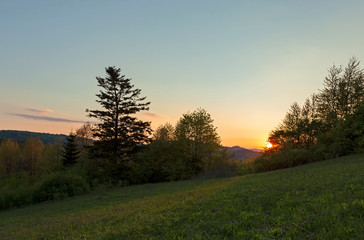 Fototapeta na wymiar landscape of the Carpathians in spring. the last rays of the sun above the horizon illuminate the glade and the forest. Wonderful landscape of the spring Carpathians, the moment of sunset.