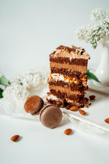 Chocolate cake decorated with various cookies and nuts on a glass plate and macaroons among white flowers of lilac and green leaves. Food photography. Advertising and commercial close up design.