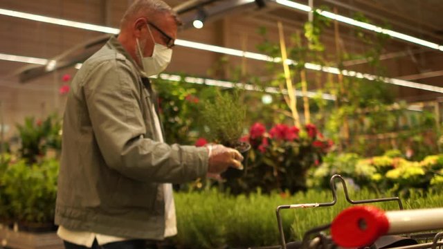 Shopping during quarantine, senior citizen at the supermarket during lockdown. Senior citizen picks a flower in a pot. Ederly masked man in gloves is shopping at the supermarket