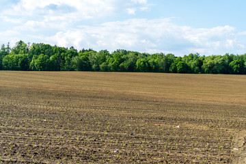 Landscape of fields. Aerial view. Dirt road. The field is plowed and the field is sown