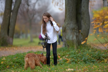 Girl in a white sweater walks with a dog spaniel in the park
