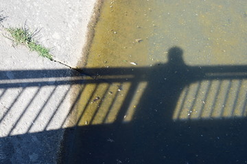 Schatten über schlammigem Wasser
