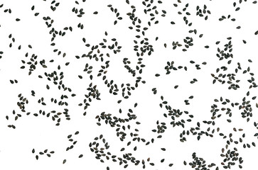 Isolated black sesame seeds on white background, top view black sesame seeds spread all over white background area.