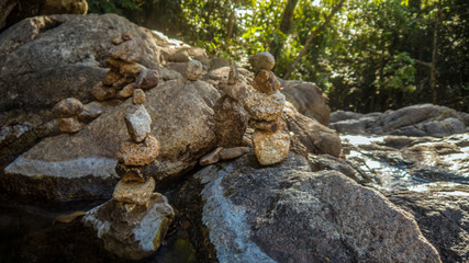Fototapeta na wymiar tree on the rocks
