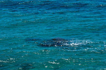 Blue sea water with sparkles texture