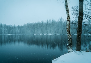 Winter forest. Snow, forest lake and trees.