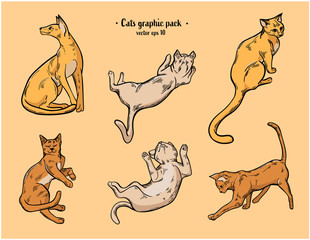 Ginger cats vector hand drawn illustration. Colored realistic vector drawings.