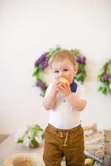 Little boy in a spring studio decorated with lilac flowers and lemons. Blooming spring