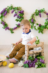 Little boy in a spring studio decorated with lilac flowers and lemons. Blooming spring