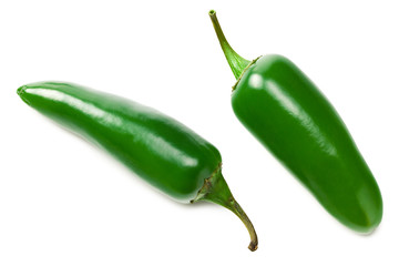 jalapeno peppers isolated on white background. Green chili pepper. Capsicum annuum. top view