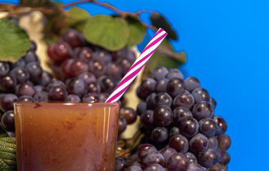 Niagara grape juice and bunches (Vitis labrusca 'Niagara') on blue background