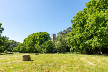 Champ au pied d'un ancien moulin près de Uzès dans le Gard