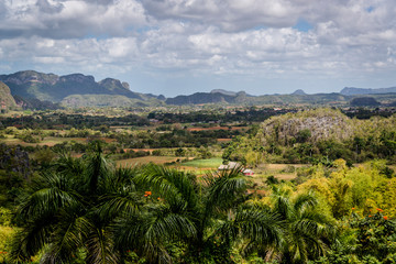Fototapeta na wymiar Vinales Valley, known for its unique limestone geomorphological mountain formations called mogotes. Cuba