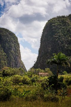 Mogotes Dos Hermanos, Vinales Valley, Cuba