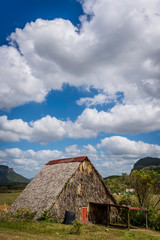 Farm houses and agricultural land, Vinales Valley, Cuba