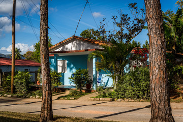 Colourful pretty houses along the main road lined with trees, Vinales, Cuba